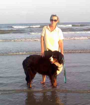 {short description of image}