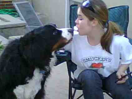 {short description of image}