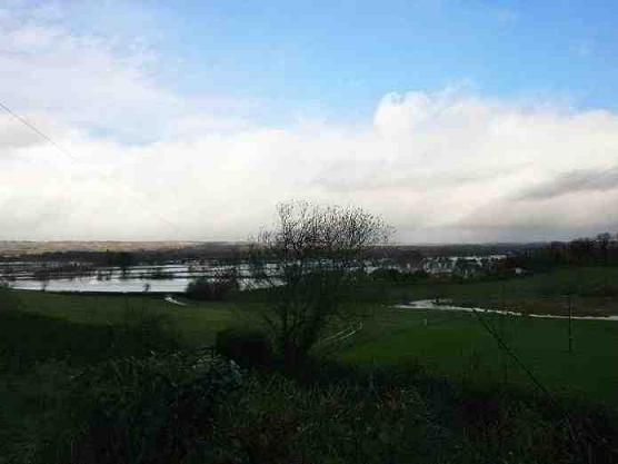 {short description of image}