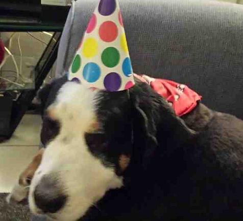 {short description of image}