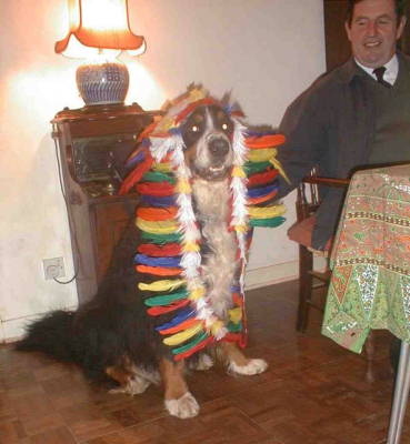 Big Chief Berner Barney!