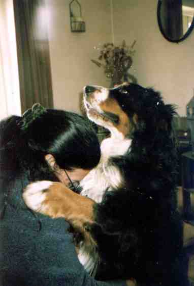 {short description of image}