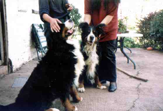 {short description of image}