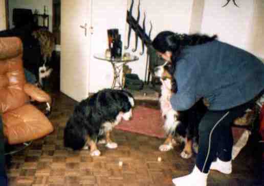 {short description of image}