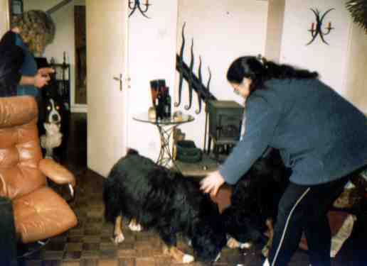 {short description of image}