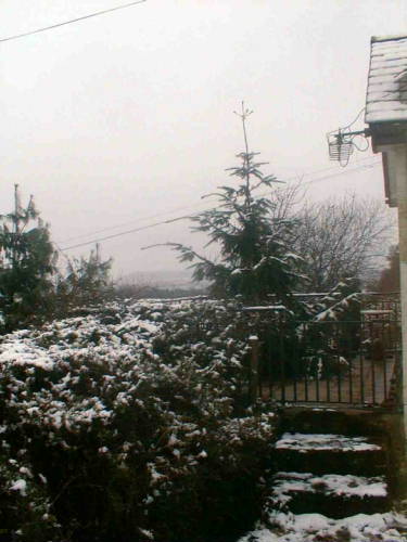 {short description of image}