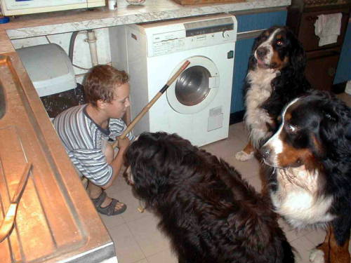 James and Berners in the kitchen