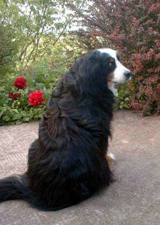 Sunny shows her back, what me Spondylosis?