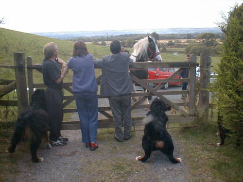 Barney and Sim, BMD's arrive at the gate