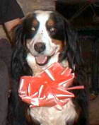 Happy Birthday Sunny.