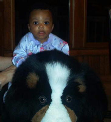 Baby Cara and her Berner Rocker