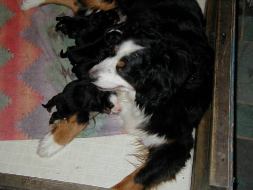 Cassie and Prince Valiasnt Chill Out!