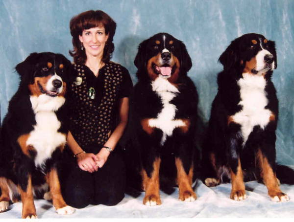 {short description of image}