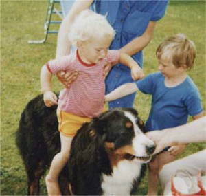 {short description of image}