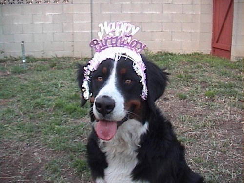 Happy Birthday, BMD Hudson