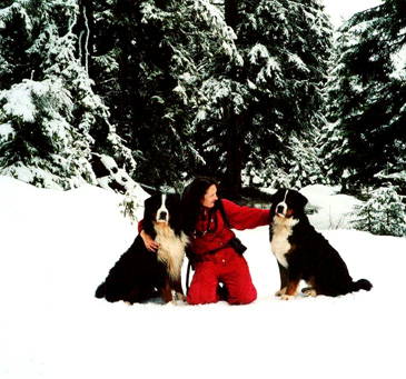 Michaela with Bernese Mountain Dogs Rupert and Harvey