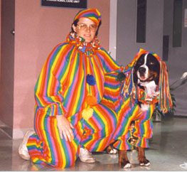 Halloween Bernese Mountain Dog