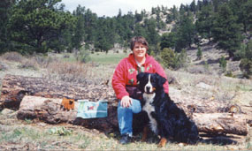 {short description of image}