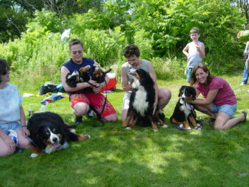 Bernese Picnic!