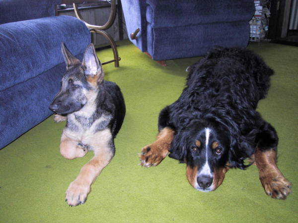 Bernese Porter and Kief.