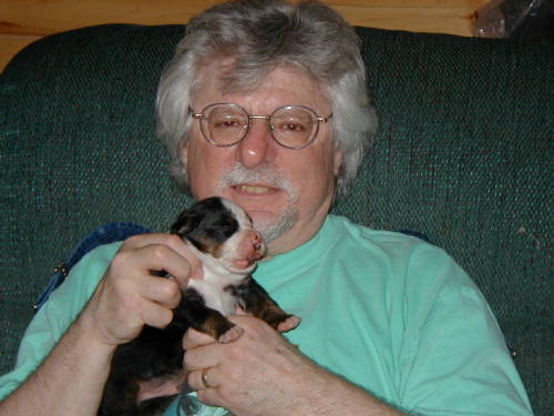 Price Valiant, Berner Pup, at two weeks