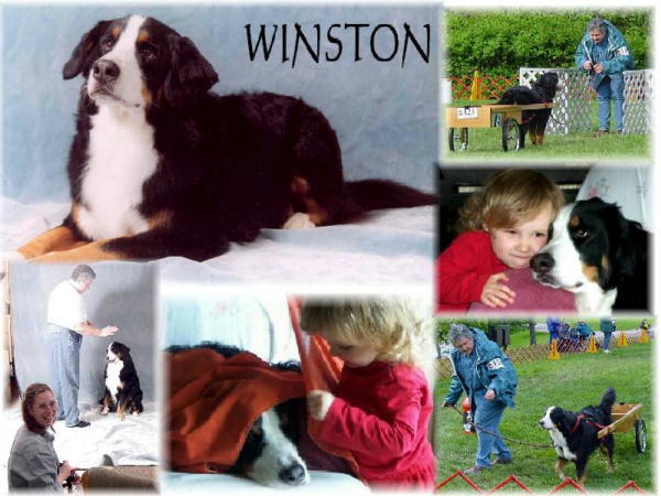 Laura's tribute to Winston