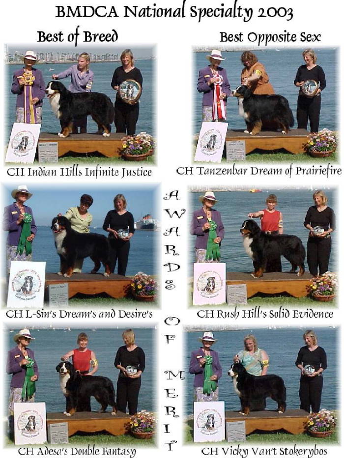 Speciality 2003 for the Bernese Mountain Dog