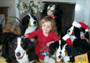 Ella, Winston and the Stuffed Berners