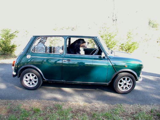 Berner Bogen, driving!