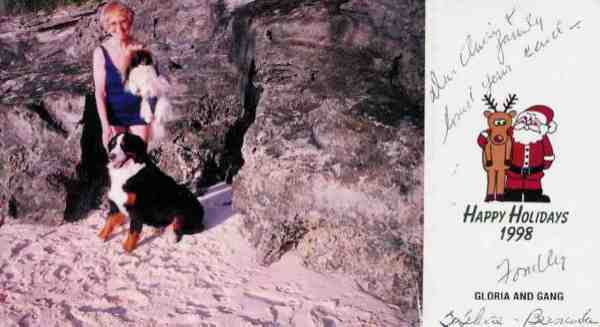 {short description of image}