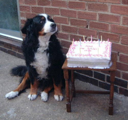 BMD Jebel's 13th birthday