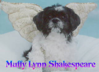 Muffy Lynn brave fighter against canine lymphosarcoma
