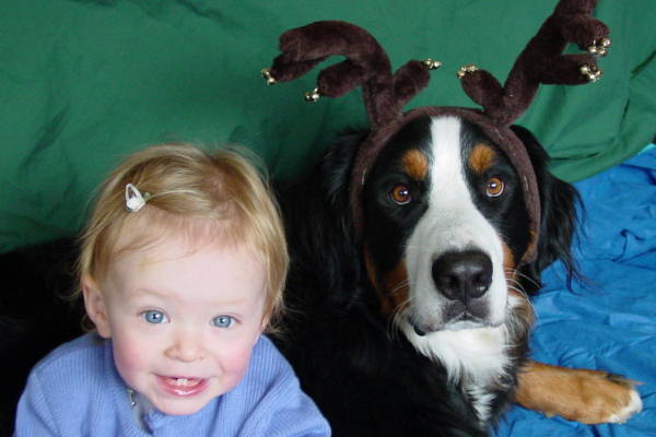 Bernese Mountain Dog, Oscar, sadly lost to Histio