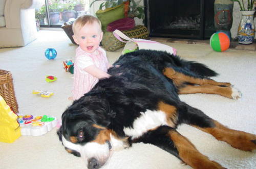 Bernese, Oscar, lost to Histio