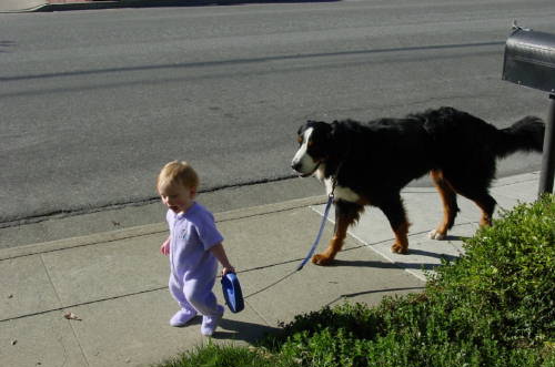 Berner, Oscar lost to MH