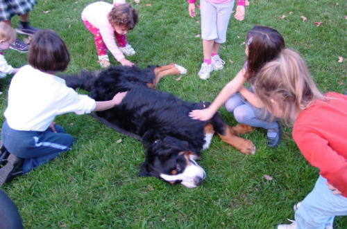 Oscar, BMD, sadly missed by all his friends.