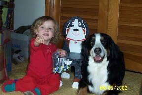 Bernese Mountain Dog, Winston
