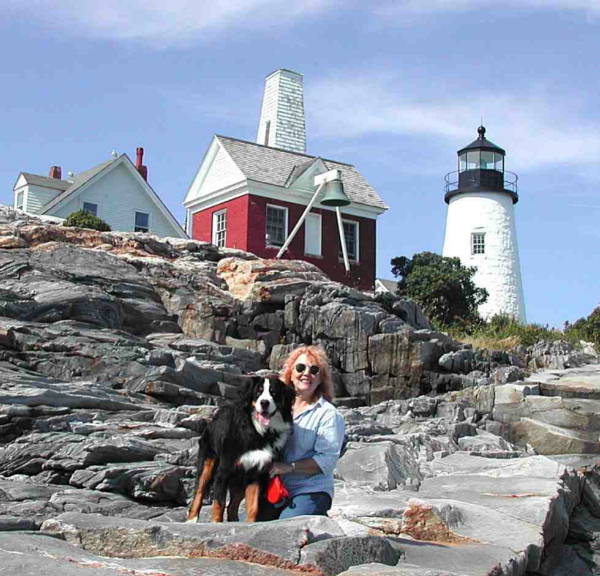 Bernese Mountain Dog Blue and Sally