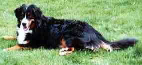 Summer 1996 (Three years old)