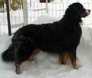 January 2001 (7 years old)