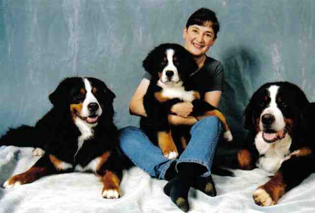 {short description of image}