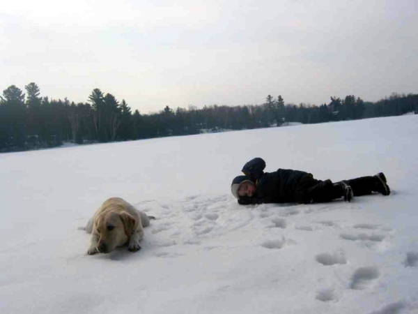 Labrador Sunny and Liam