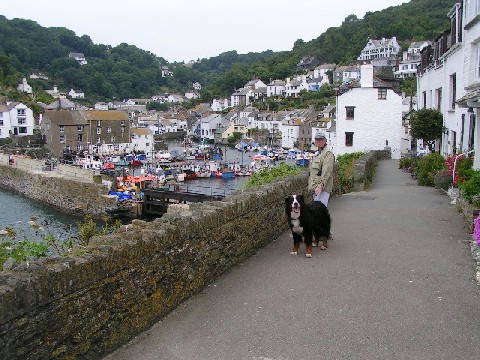 Bernese, Quincy, and David in Cornwall