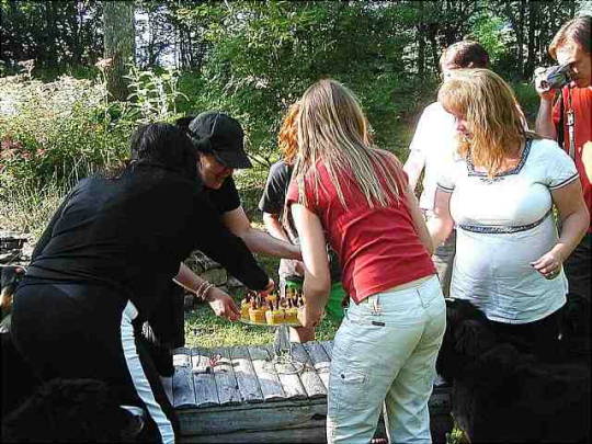 {short description of image}