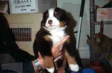 BMD Willy, sadly lost to Histio