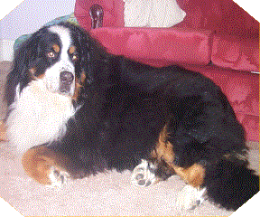 Happy Birthday, Mika