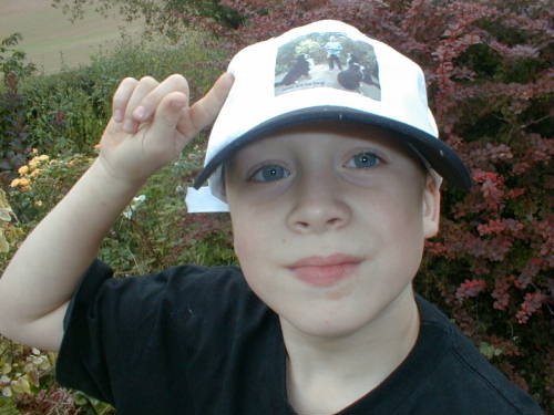 {short description of image}