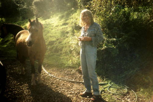 Welsh Mountain pony, Andy.
