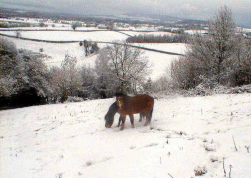 {short description of image}