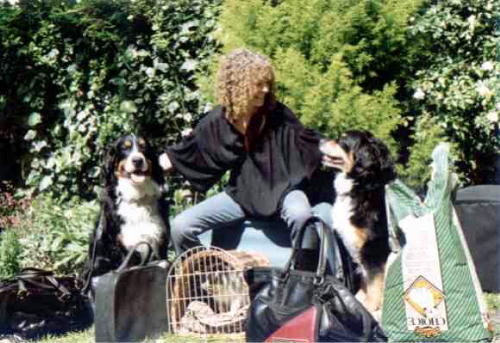 Jean, Bernese Mountain Dogs Sam and Tinka and Pru Cat.